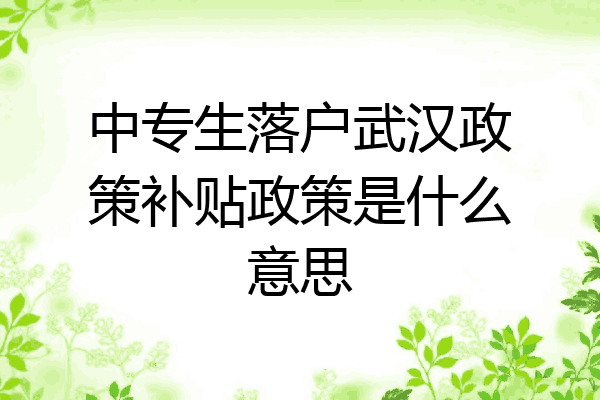中专生落户武汉政策补贴政策是什么意思