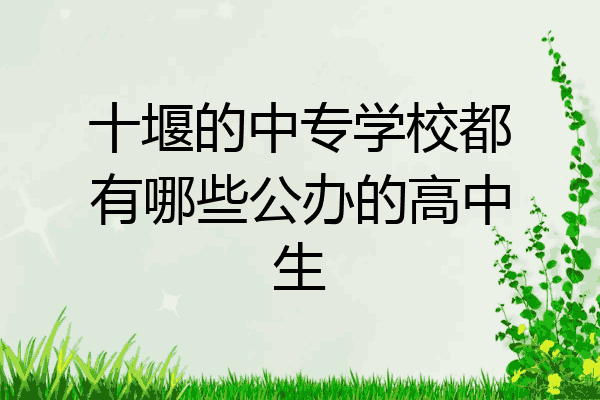 十堰的中专学校都有哪些公办的高中生