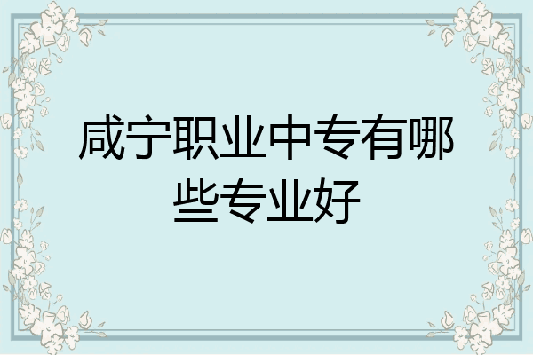 咸宁职业中专有哪些专业好