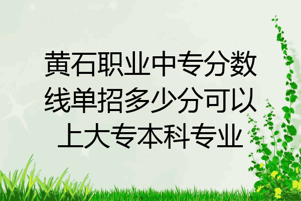 黄石职业中专分数线单招多少分可以上大专本科专业