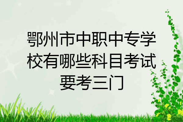 鄂州市中职中专学校有哪些科目考试要考三门