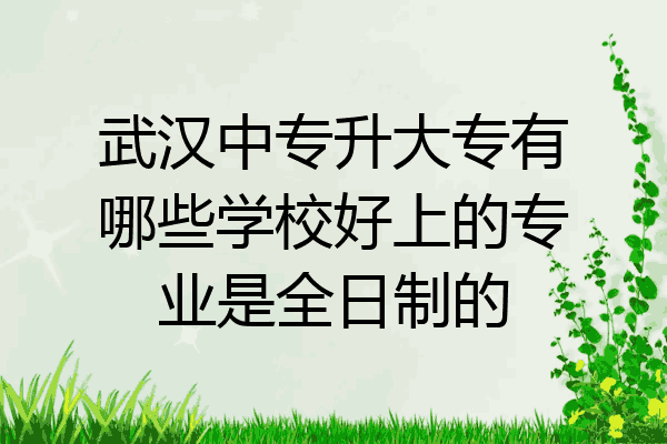 武汉中专升大专有哪些学校好上的专业是全日制的