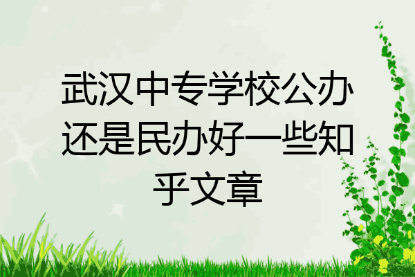 武汉中专学校公办还是民办好一些知乎文章