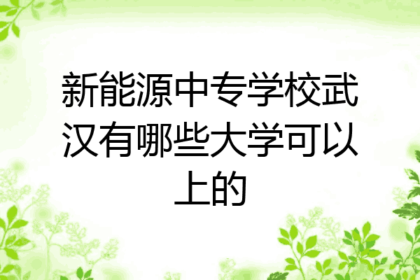 新能源中专学校武汉有哪些大学可以上的