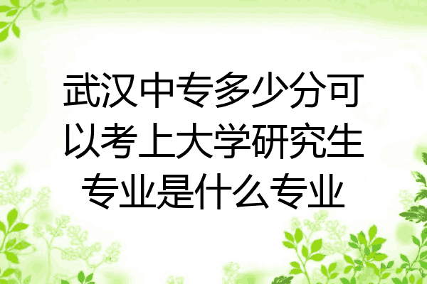 武汉中专多少分可以考上大学研究生专业是什么专业