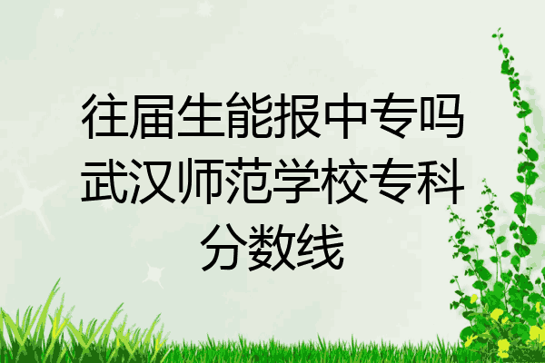 往届生能报中专吗武汉师范学校专科分数线