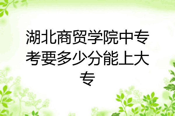 湖北商贸学院中专考要多少分能上大专