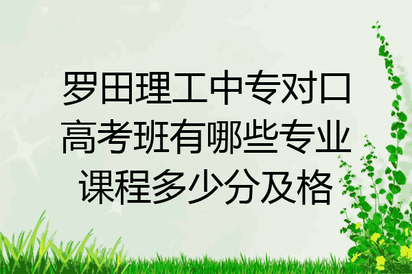 罗田理工中专对口高考班有哪些专业课程多少分及格