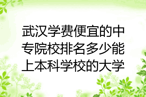 武汉学费便宜的中专院校排名多少能上本科学校的大学