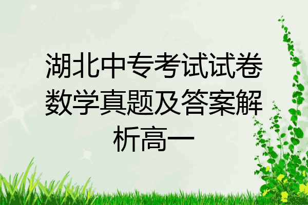 湖北中专考试试卷数学真题及答案解析高一