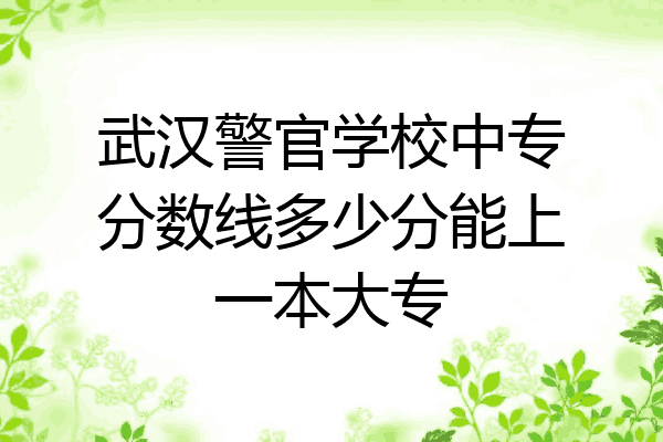 武汉警官学校中专分数线多少分能上一本大专