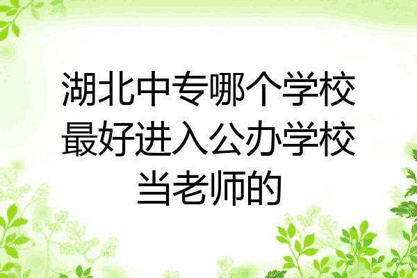 湖北中专哪个学校最好进入公办学校当老师的