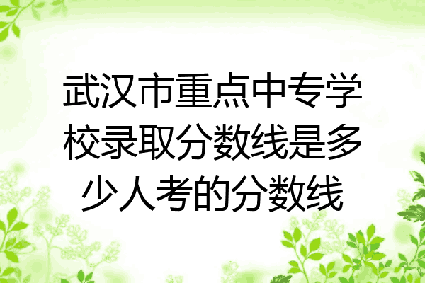 武汉市重点中专学校录取分数线是多少人考的分数线