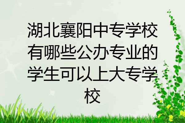 湖北襄阳中专学校有哪些公办专业的学生可以上大专学校
