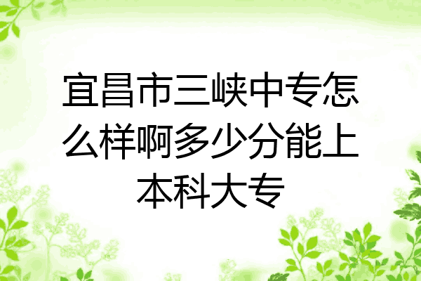 宜昌市三峡中专怎么样啊多少分能上本科大专