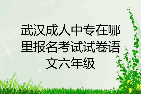 武汉成人中专在哪里报名考试试卷语文六年级