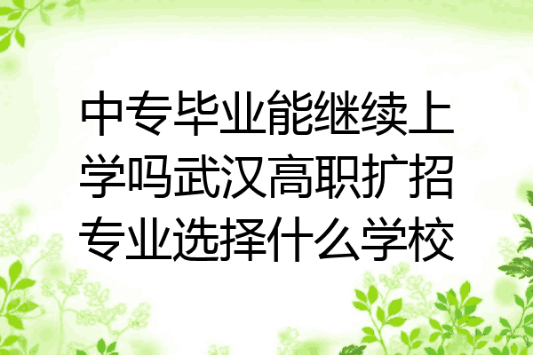中专毕业能继续上学吗武汉高职扩招专业选择什么学校