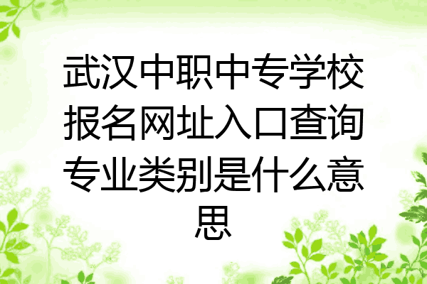 武汉中职中专学校报名网址入口查询专业类别是什么意思