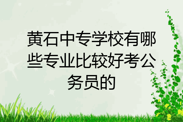 黄石中专学校有哪些专业比较好考公务员的