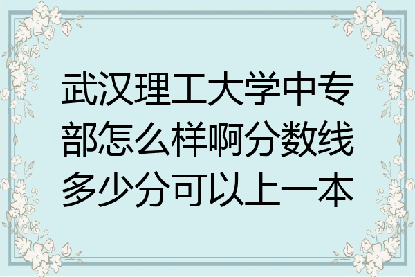 武汉理工大学中专部怎么样啊分数线多少分可以上一本