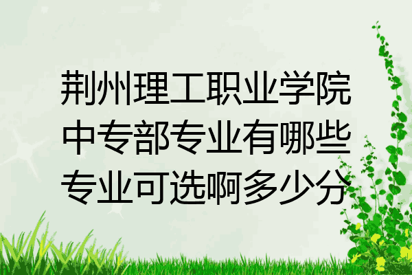 荆州理工职业学院中专部专业有哪些专业可选啊多少分