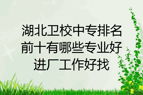 湖北卫校中专排名前十有哪些专业好进厂工作好找