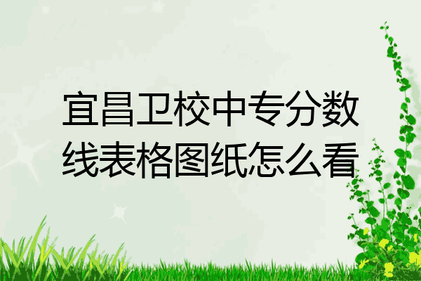 宜昌卫校中专分数线表格图纸怎么看