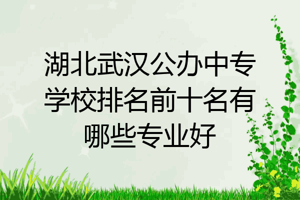 湖北武汉公办中专学校排名前十名有哪些专业好