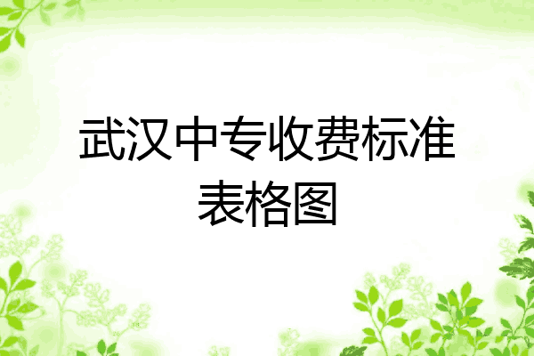 武汉中专收费标准表格图