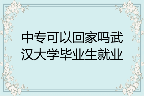 中专可以回家吗武汉大学毕业生就业