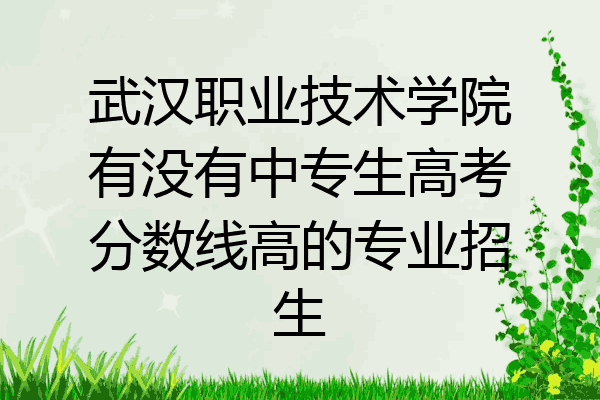 武汉职业技术学院有没有中专生高考分数线高的专业招生