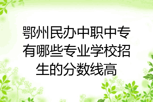 鄂州民办中职中专有哪些专业学校招生的分数线高