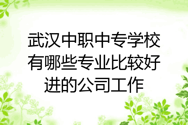 武汉中职中专学校有哪些专业比较好进的公司工作