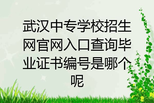 武汉中专学校招生网官网入口查询毕业证书编号是哪个呢