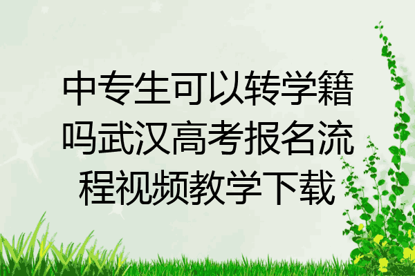 中专生可以转学籍吗武汉高考报名流程视频教学下载