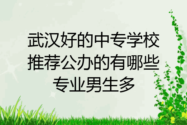 武汉好的中专学校推荐公办的有哪些专业男生多