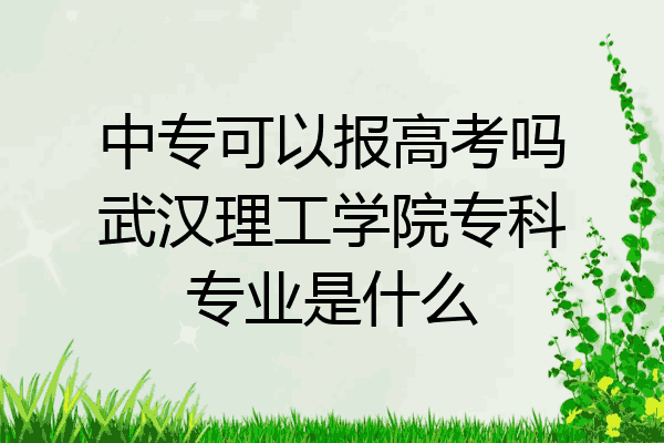 中专可以报高考吗武汉理工学院专科专业是什么