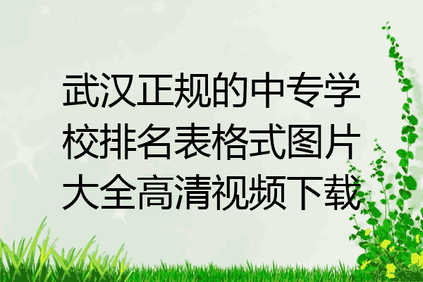 武汉正规的中专学校排名表格式图片大全高清视频下载