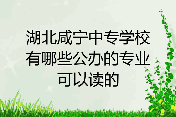 湖北咸宁中专学校有哪些公办的专业可以读的