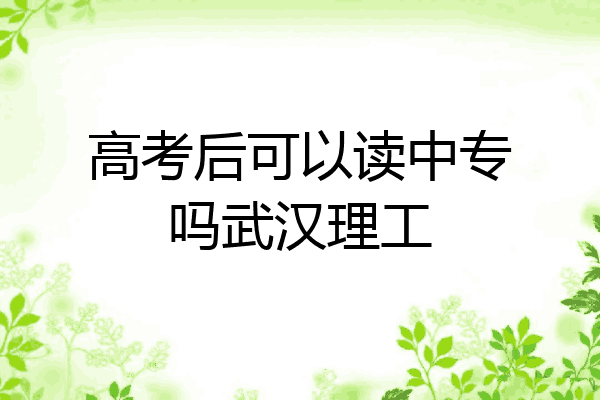 高考后可以读中专吗武汉理工