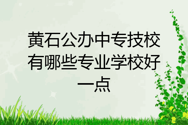 黄石公办中专技校有哪些专业学校好一点