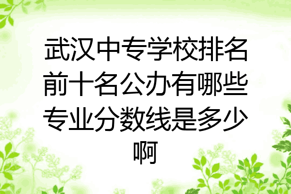 武汉中专学校排名前十名公办有哪些专业分数线是多少啊