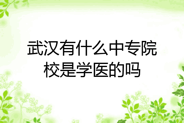 武汉有什么中专院校是学医的吗