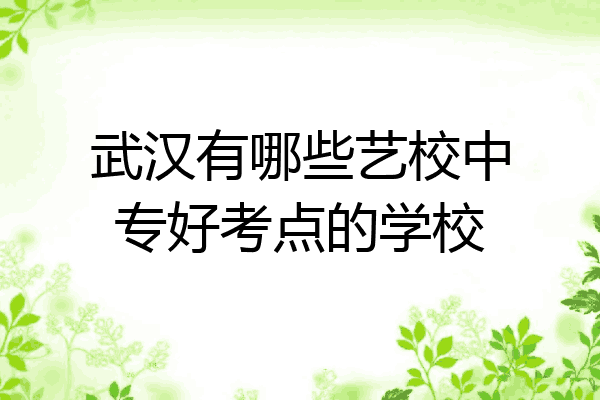武汉有哪些艺校中专好考点的学校
