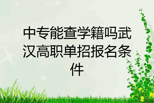 中专能查学籍吗武汉高职单招报名条件
