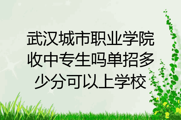 武汉城市职业学院收中专生吗单招多少分可以上学校
