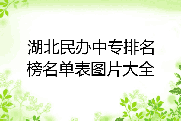 湖北民办中专排名榜名单表图片大全