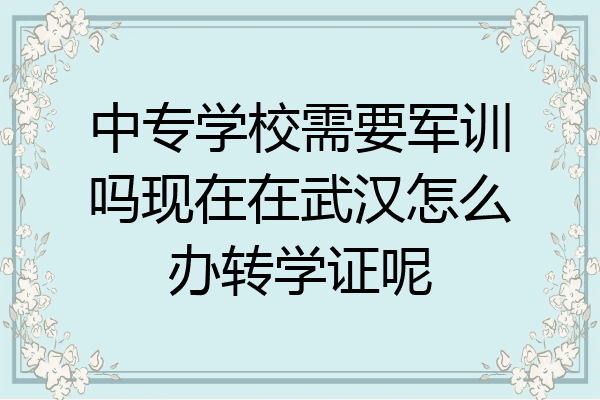 中专学校需要军训吗现在在武汉怎么办转学证呢