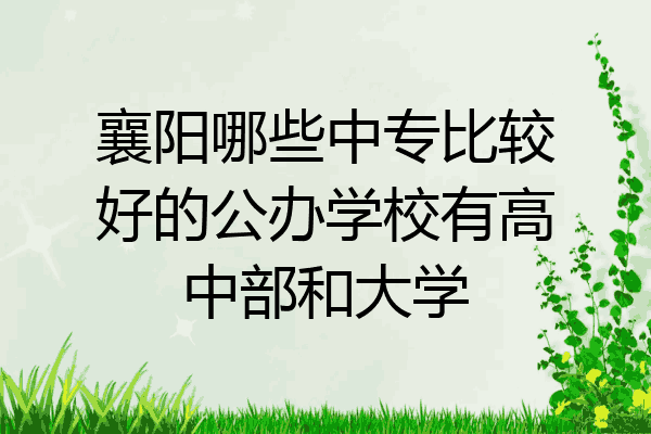 襄阳哪些中专比较好的公办学校有高中部和大学
