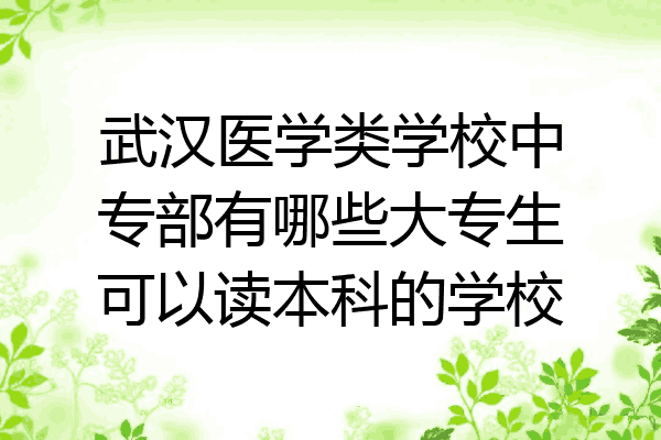 武汉医学类学校中专部有哪些大专生可以读本科的学校